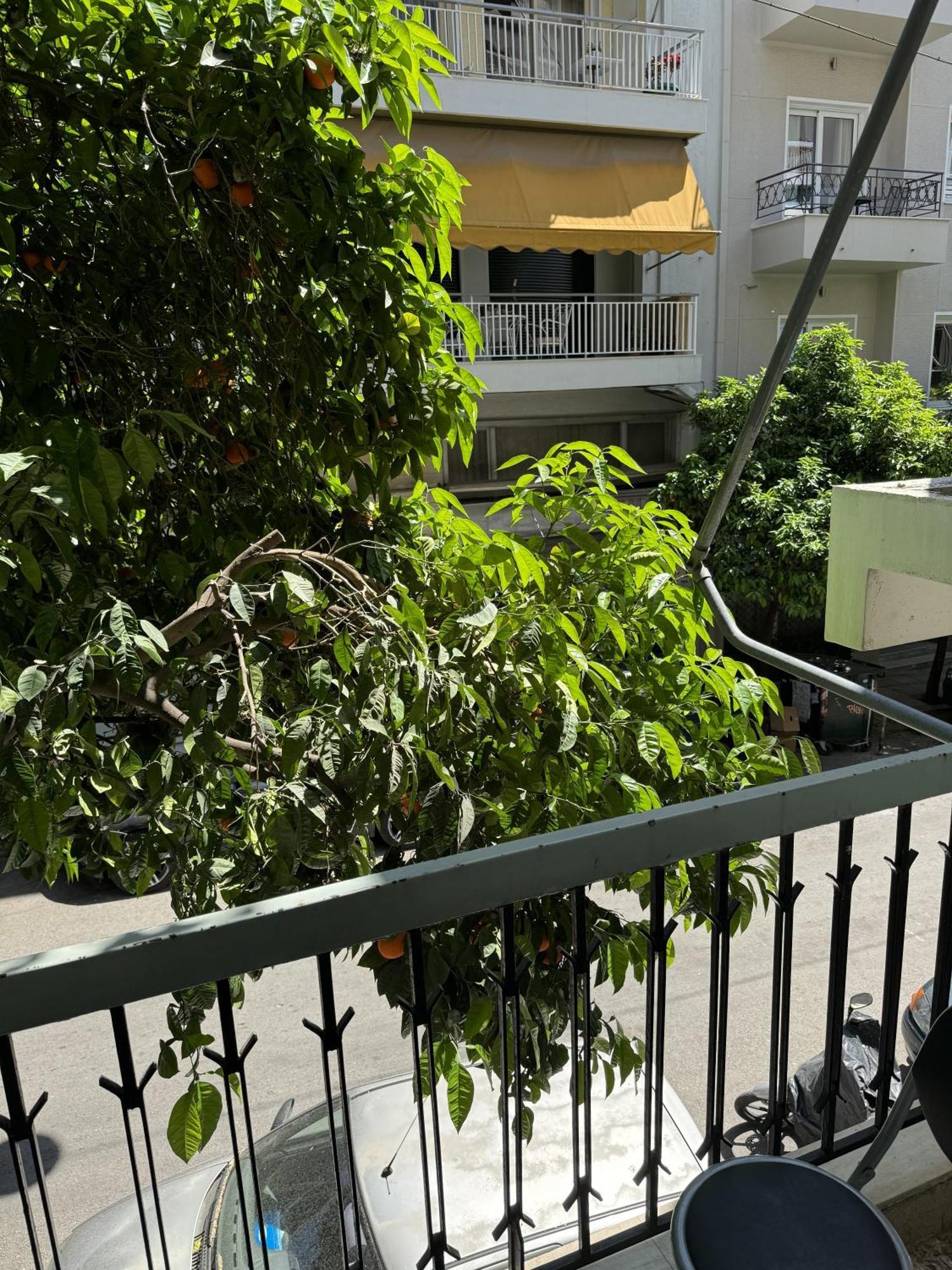Cozy Apt Next To Acropolis Atenas Exterior foto